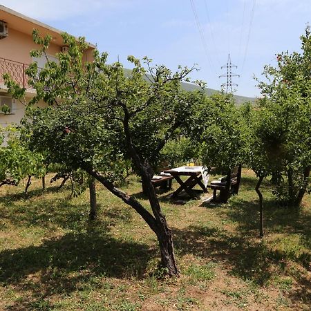 Garden House Apartment Τρέμπινιε Εξωτερικό φωτογραφία